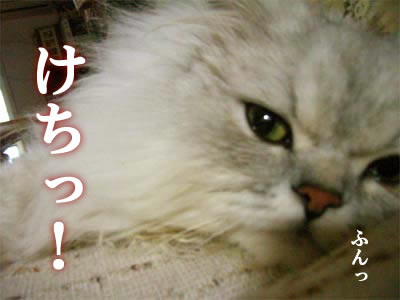 コメントのレスに使える画像貼っていきませんか?♡