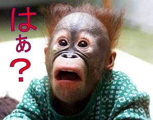 コメントのレスに使える画像貼っていきませんか?♡