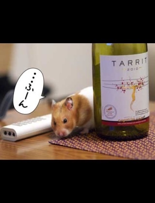 コメントのレスに使える画像貼っていきませんか?♡