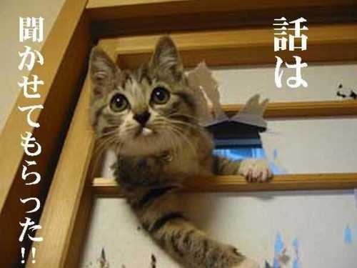 コメントのレスに使える画像貼っていきませんか?♡