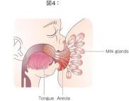 陥没乳首で悩んでる方いますか?