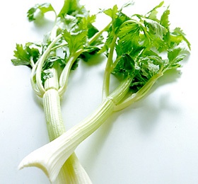 何でみんな嫌いなの?! と思う食べ物は？