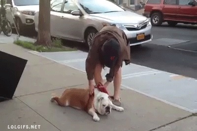 疲れ切って脱力しまくった犬がかわいいww
