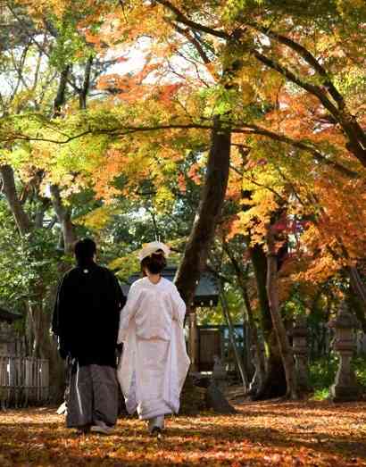 素敵な花嫁の画像
