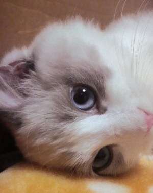 凹んでいる人を応援するトピ
