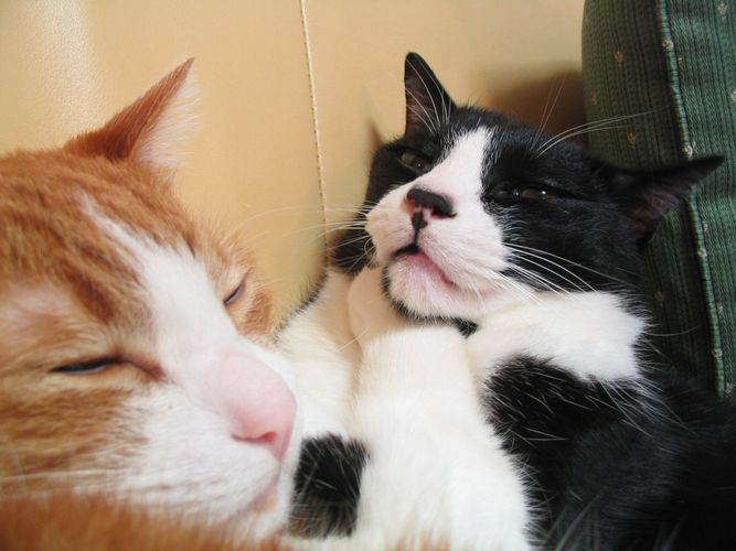 好きな人に自分って嫌われてるかもって思った瞬間