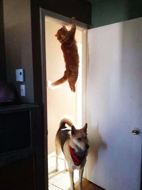 好きな人に自分って嫌われてるかもって思った瞬間