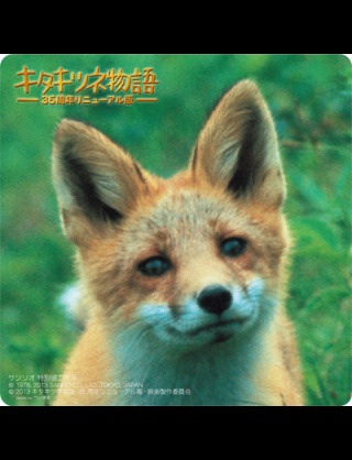 昭和生まれの方集まれ*\(^o^)/*