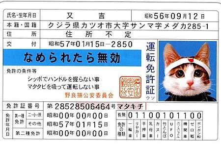 昔流行った、今持ってたらヤバイ（使えない）もの