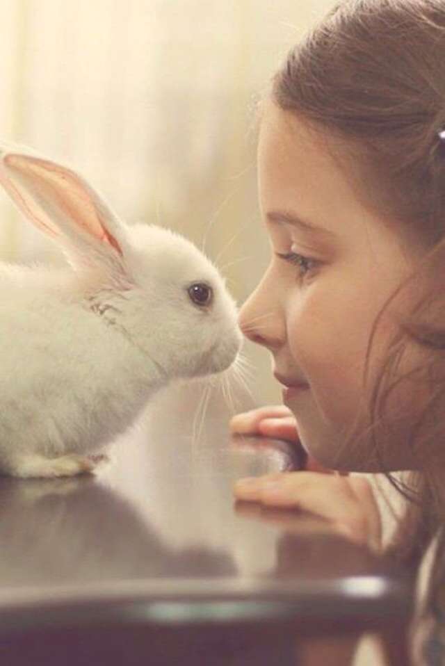 子どもスキな人!