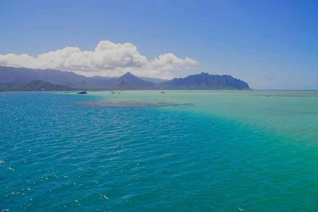 夏休みの計画たててますか？