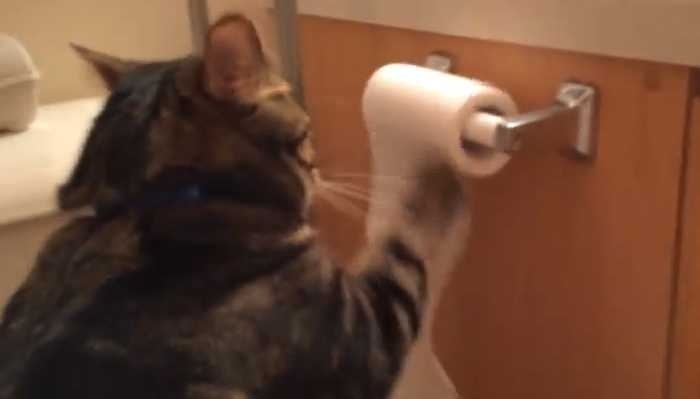 ひたすらニューヨーカーになりきるトピ