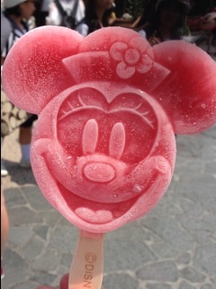 ディズニーランドのおすすめ