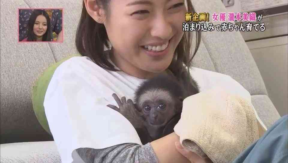 最近好きになった芸能人
