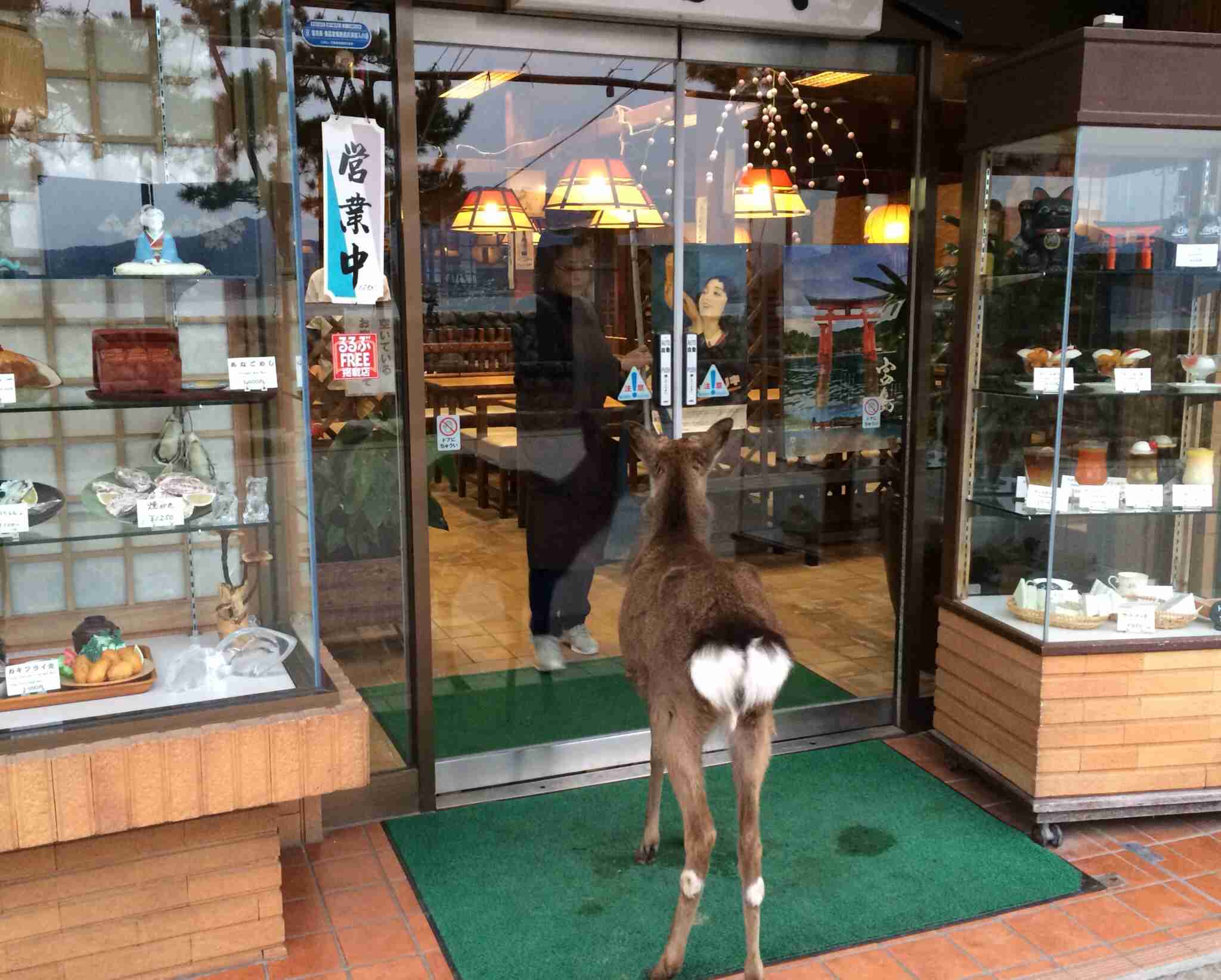 キレイに撮れた写メを貼りあうトピ♪