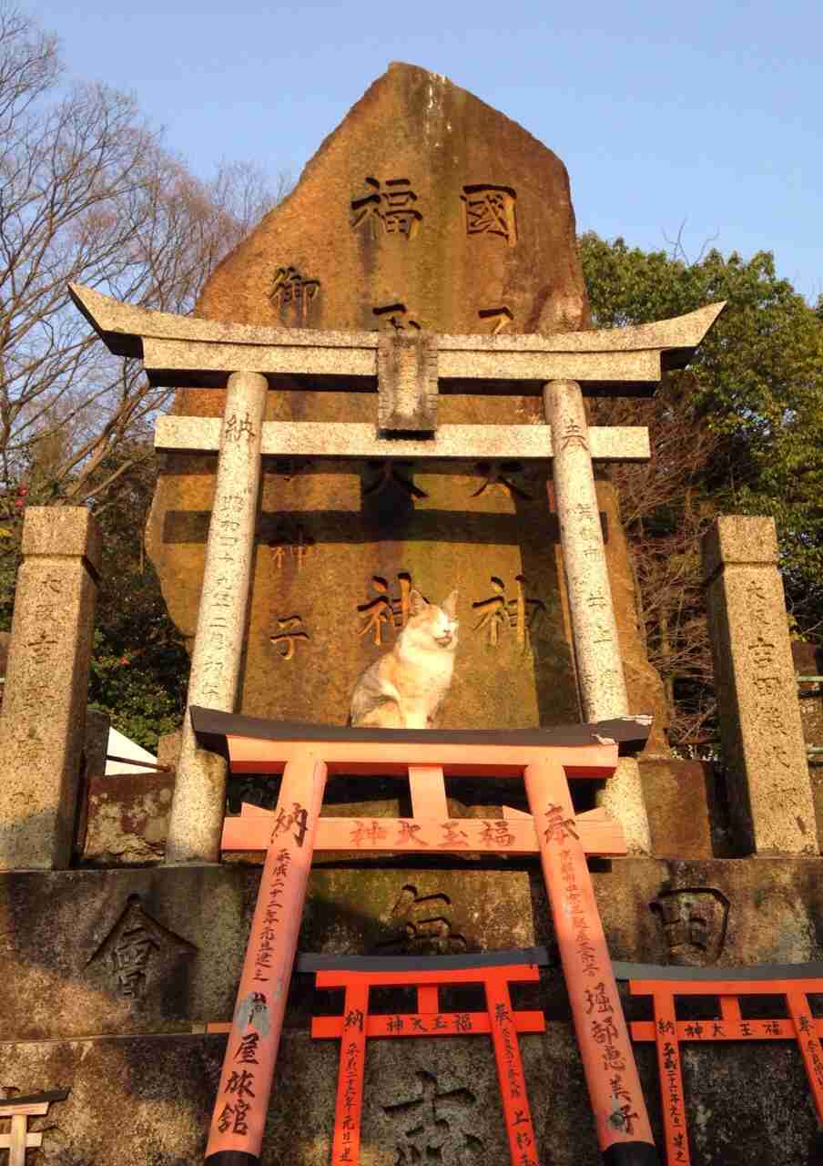 キレイに撮れた写メを貼りあうトピ♪