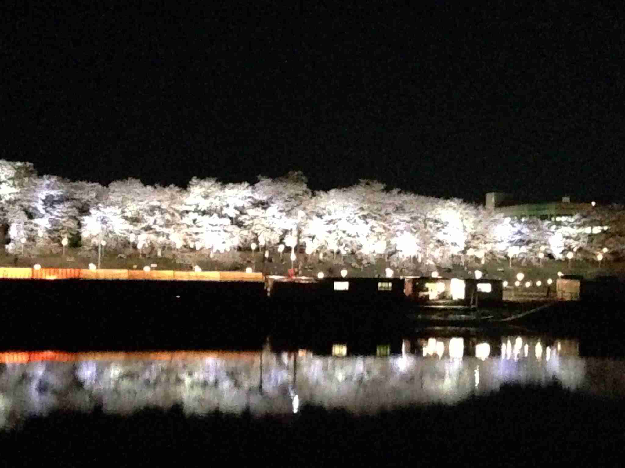 キレイに撮れた写メを貼りあうトピ♪