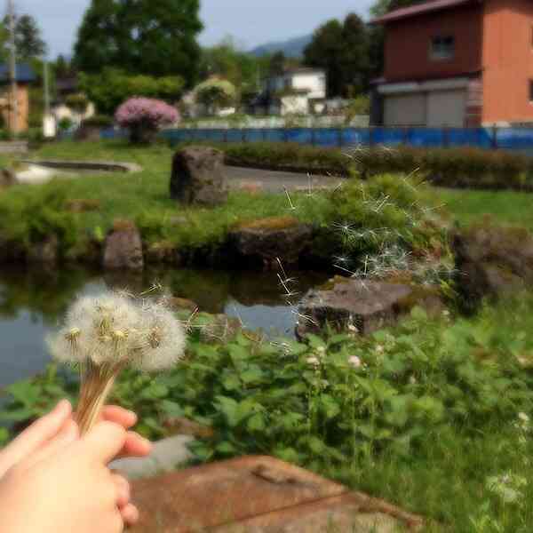 キレイに撮れた写メを貼りあうトピ♪