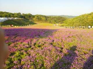 キレイに撮れた写メを貼りあうトピ♪