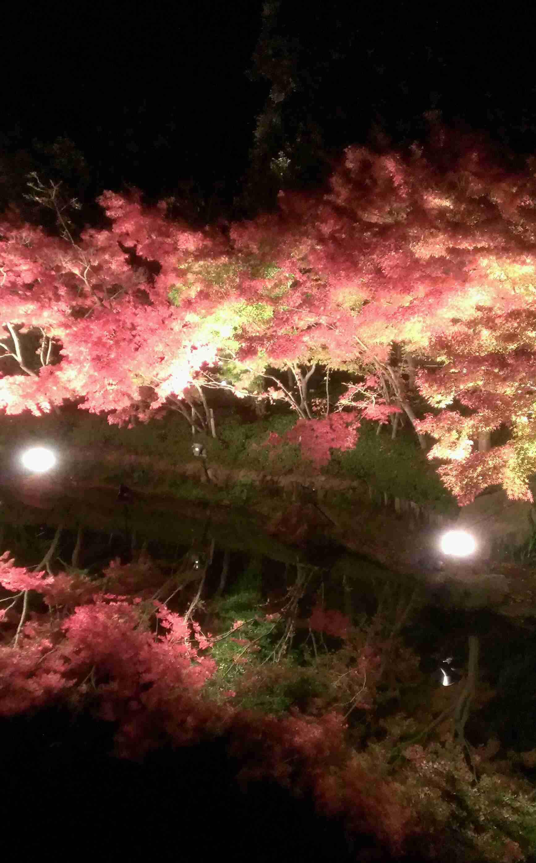 キレイに撮れた写メを貼りあうトピ♪