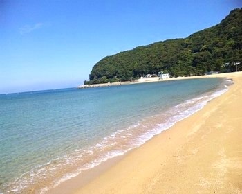 キレイに撮れた写メを貼りあうトピ♪