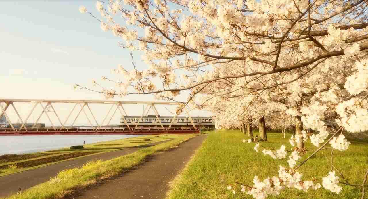 キレイに撮れた写メを貼りあうトピ♪