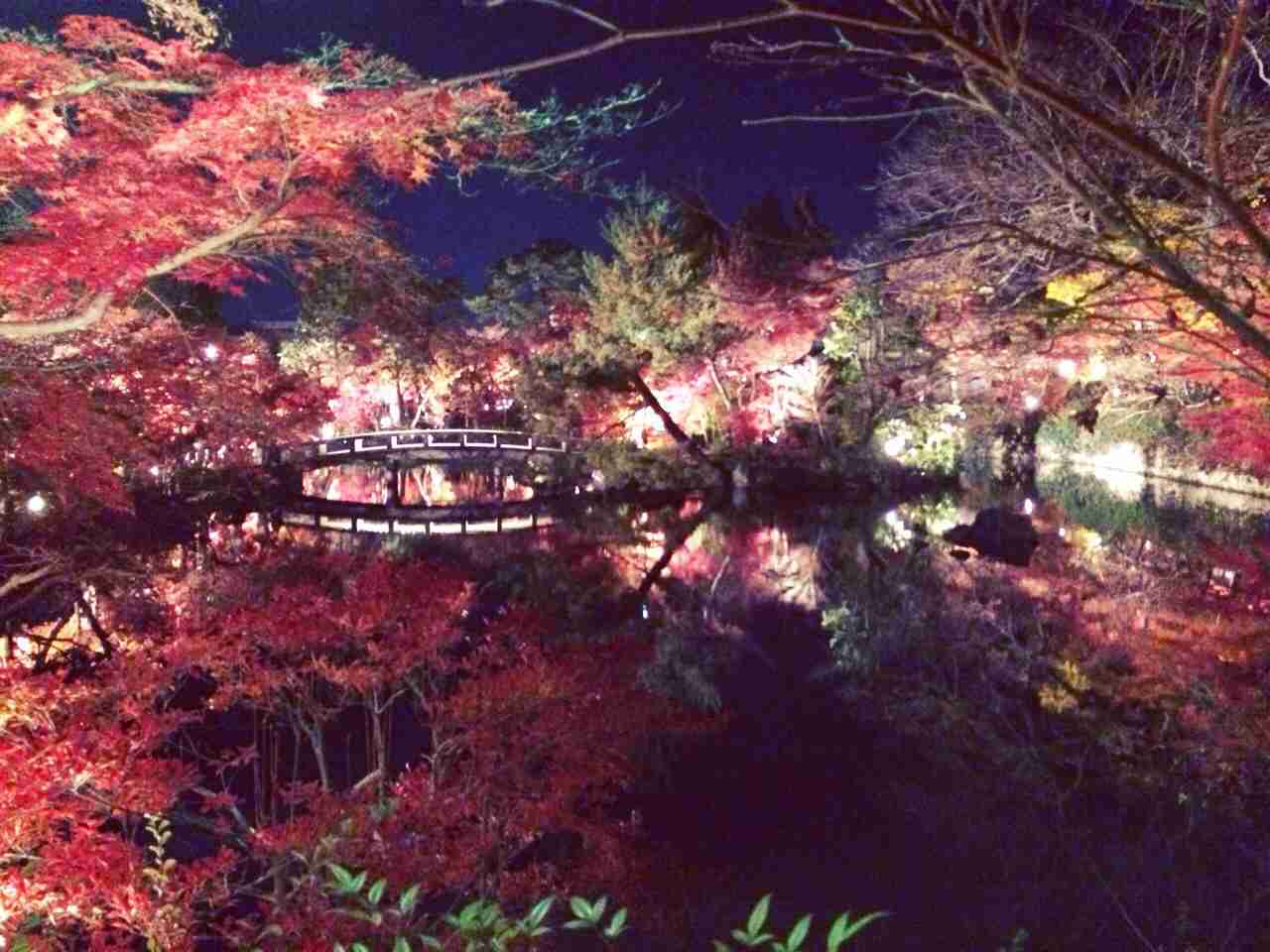 キレイに撮れた写メを貼りあうトピ♪
