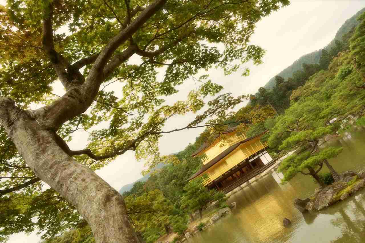 キレイに撮れた写メを貼りあうトピ♪