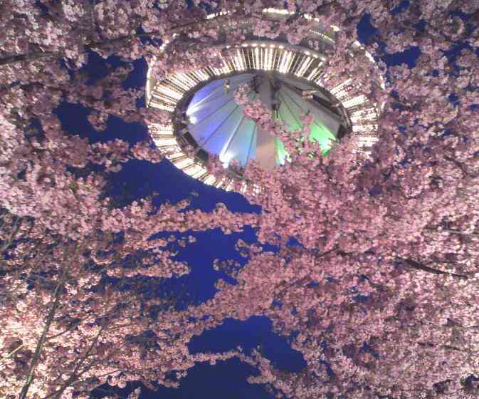 キレイに撮れた写メを貼りあうトピ♪