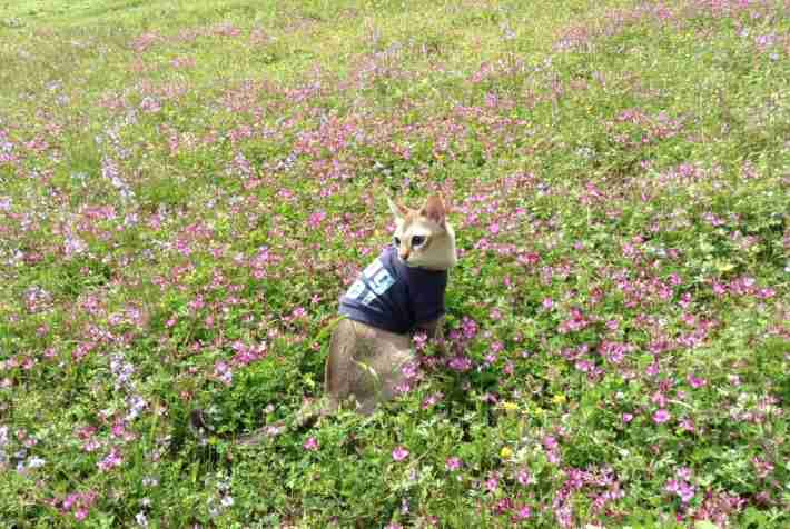 キレイに撮れた写メを貼りあうトピ♪