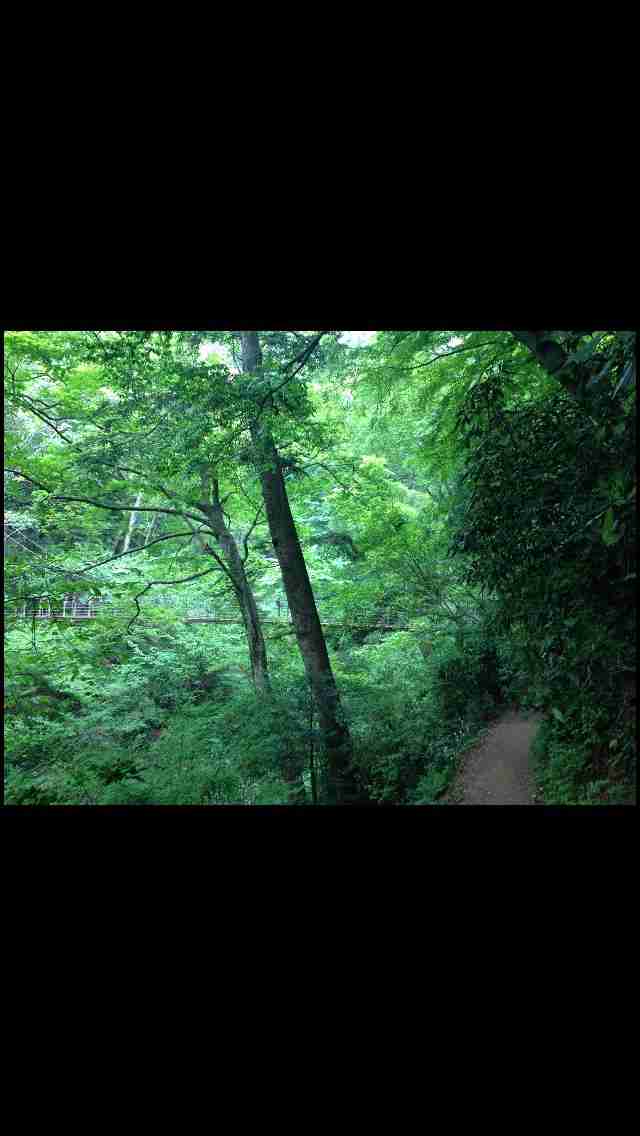 キレイに撮れた写メを貼りあうトピ♪
