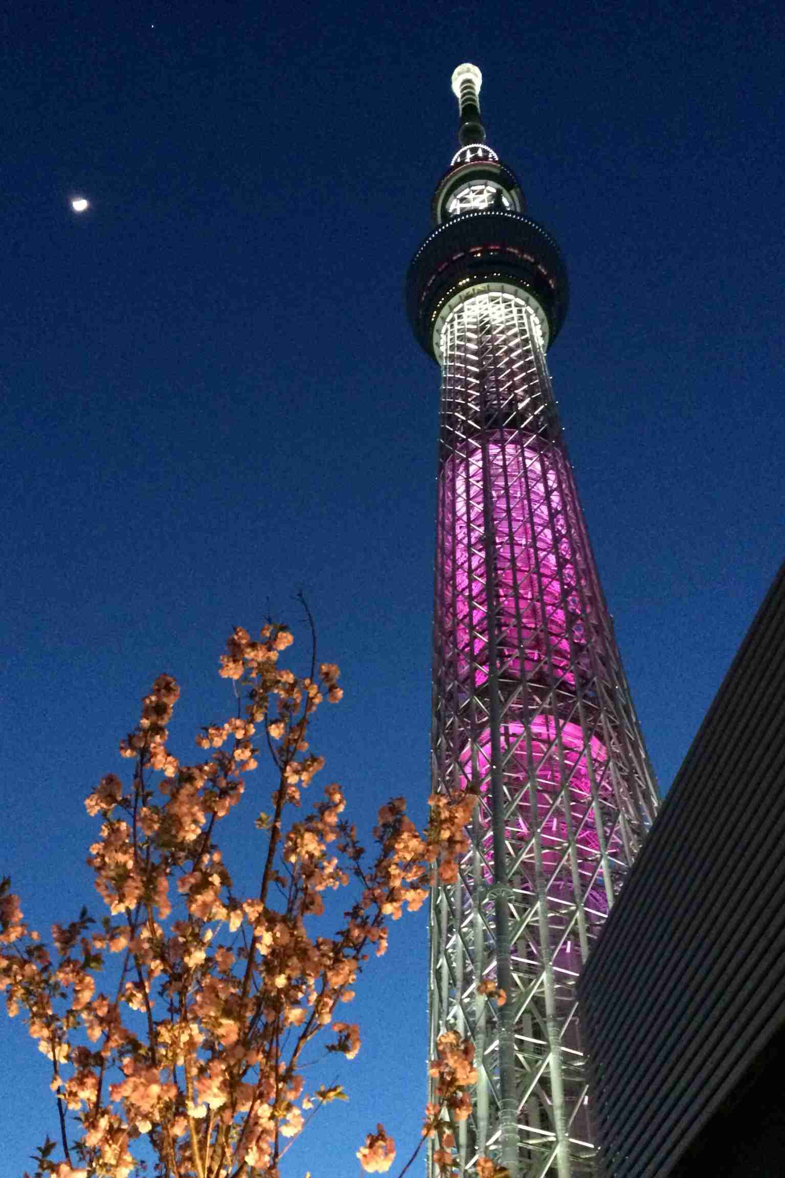 キレイに撮れた写メを貼りあうトピ♪