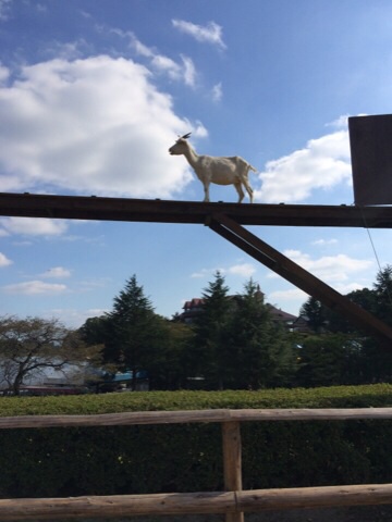 キレイに撮れた写メを貼りあうトピ♪