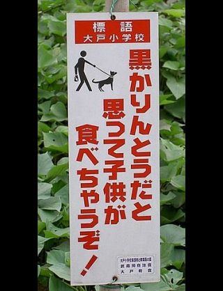 スズメが自転車を不法占拠→かりんとうで取り引きした結果、奪還成功