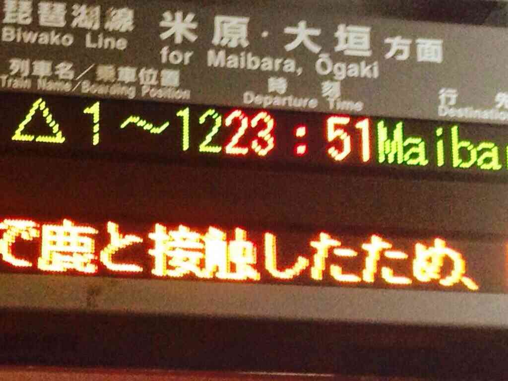 秋田新幹線、線路内のクマとぶつかり52分遅れ。クマは逃亡