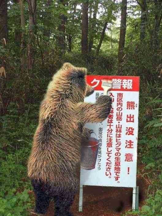 秋田新幹線、線路内のクマとぶつかり52分遅れ。クマは逃亡