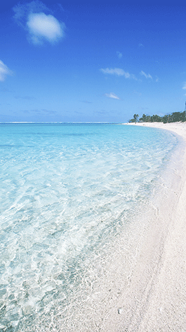 ガルちゃんで画像(サイト)を貼り付ける方法＆練習Part3