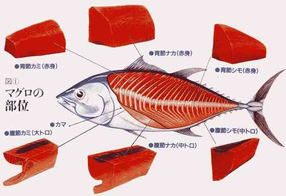 ガルちゃんで画像(サイト)を貼り付ける方法＆練習Part3