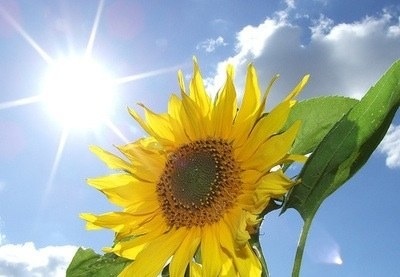 ガルちゃんで画像(サイト)を貼り付ける方法＆練習Part3