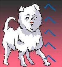 ガルちゃんで画像(サイト)を貼り付ける方法＆練習Part3