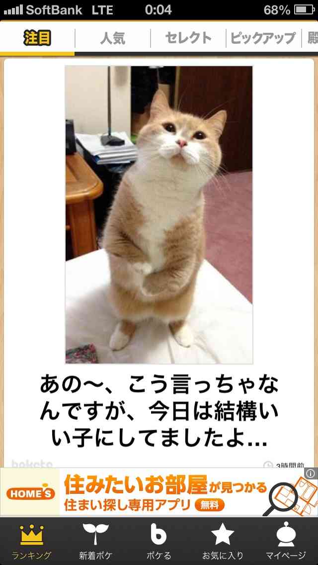 ガルちゃんで画像(サイト)を貼り付ける方法＆練習Part3