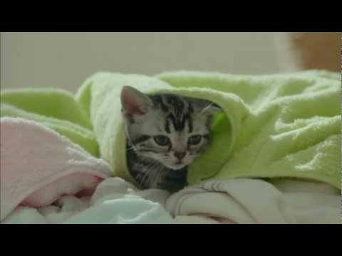 ガルちゃんで画像(サイト)を貼り付ける方法＆練習Part3