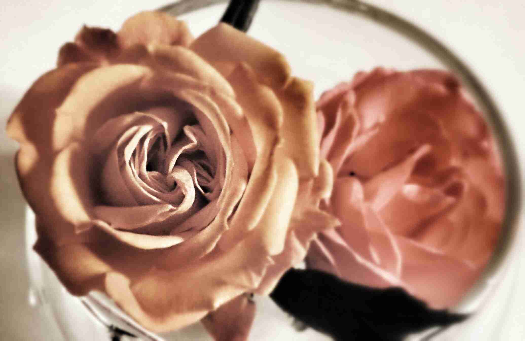 ガルちゃんで画像(サイト)を貼り付ける方法＆練習Part3