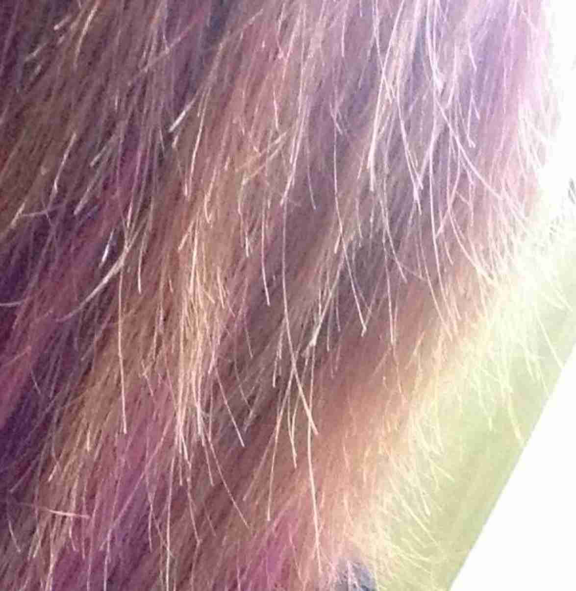 ガルちゃんで画像(サイト)を貼り付ける方法＆練習Part3