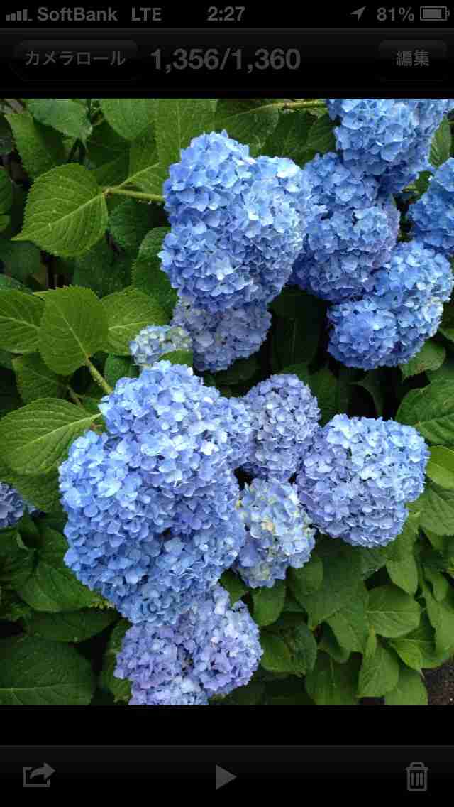 ガルちゃんで画像(サイト)を貼り付ける方法＆練習Part3