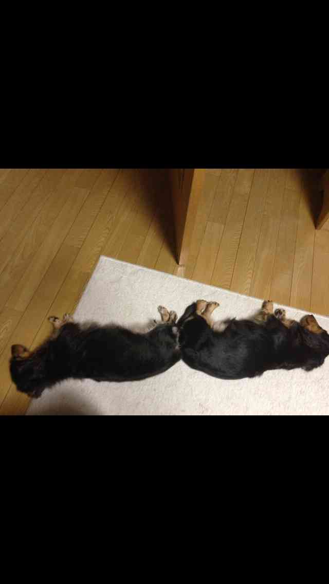 ガルちゃんで画像(サイト)を貼り付ける方法＆練習Part3