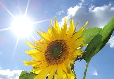 ガルちゃんで画像(サイト)を貼り付ける方法＆練習Part3