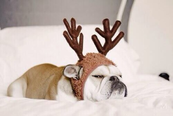 ガルちゃんで画像(サイト)を貼り付ける方法＆練習Part3