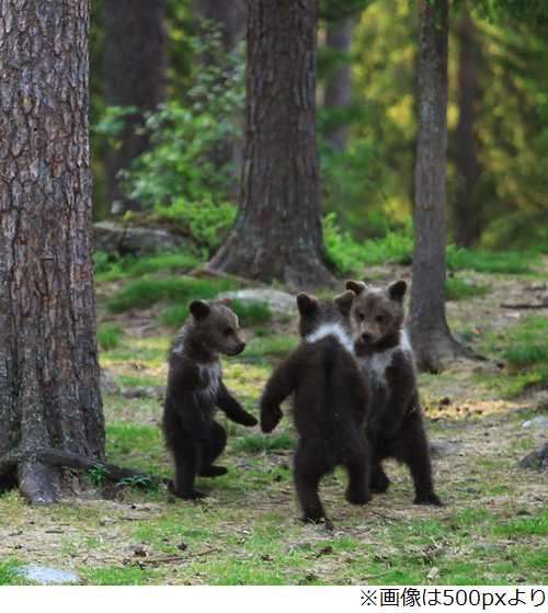 ガルちゃんで画像(サイト)を貼り付ける方法＆練習Part3