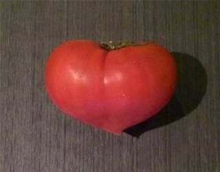 ガルちゃんで画像(サイト)を貼り付ける方法＆練習Part3